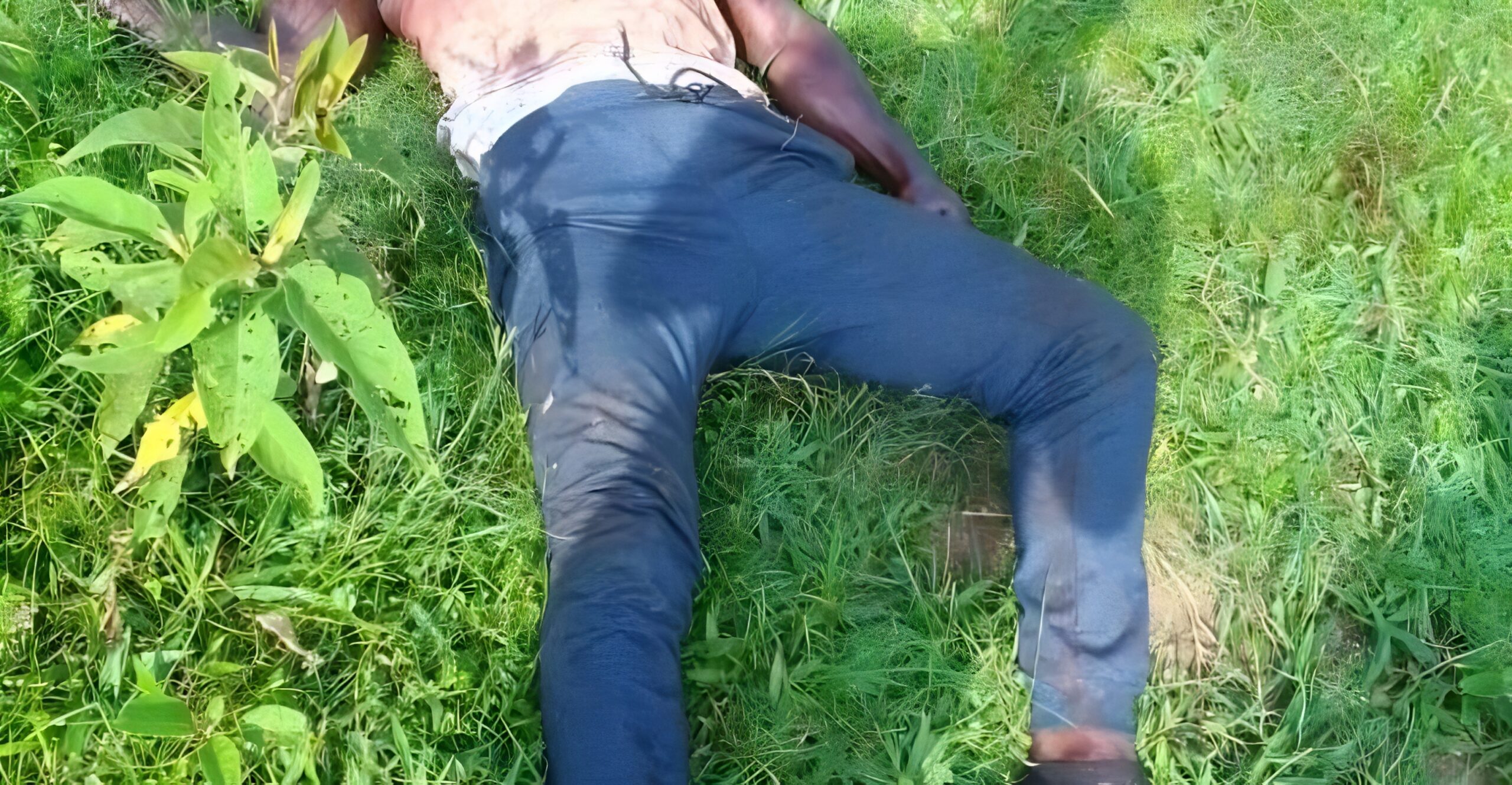Bobi wine